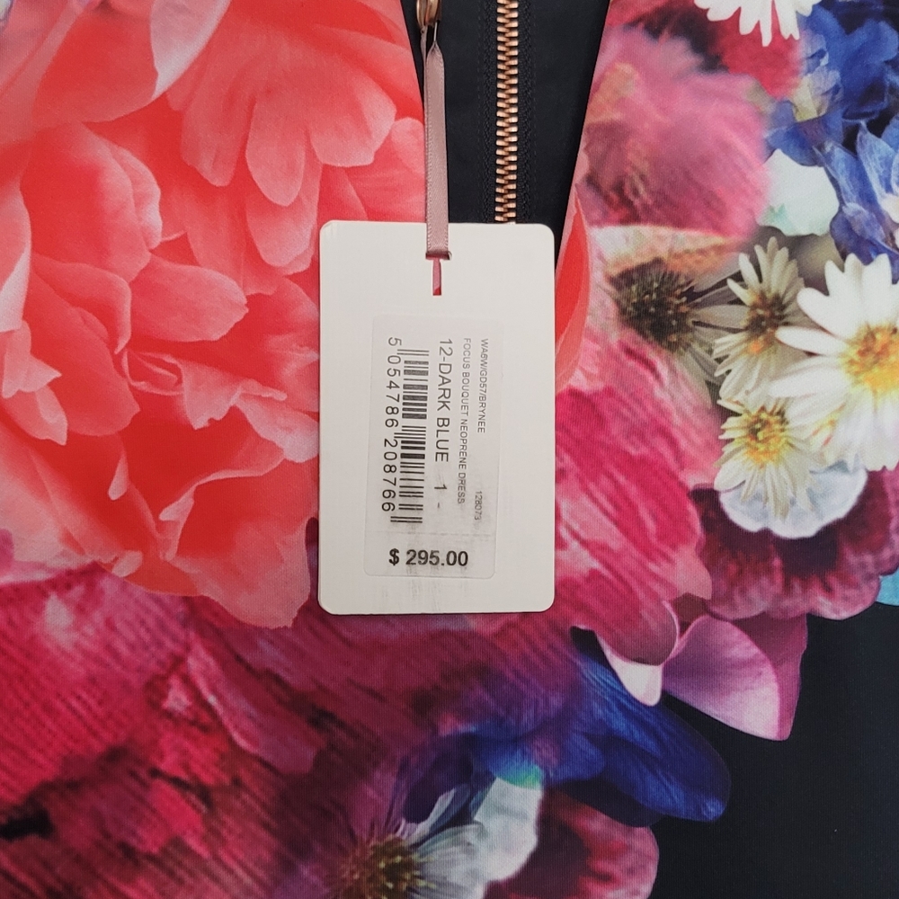 BNWT Ted Baker dress